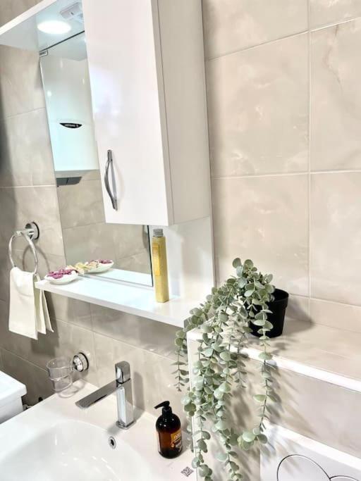 Apartman Dolcerosa Kotor Ngoại thất bức ảnh