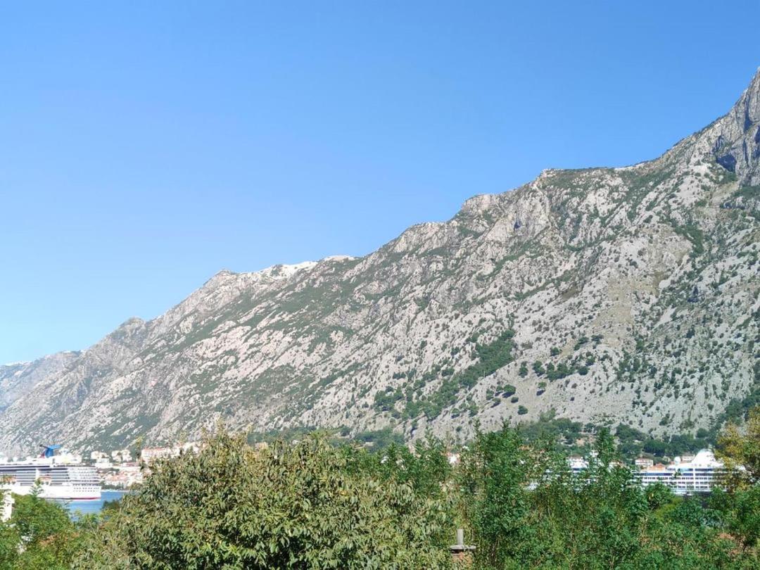 Apartman Dolcerosa Kotor Ngoại thất bức ảnh